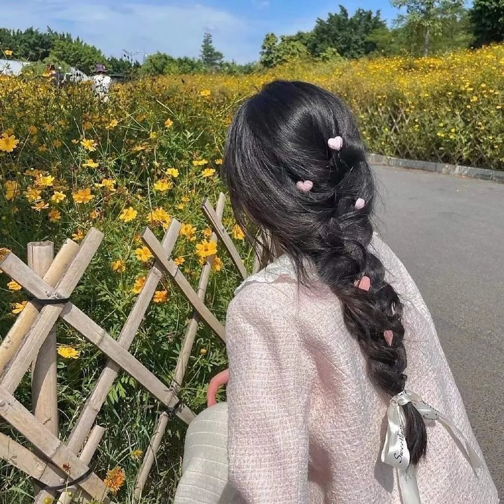 高速公路家族