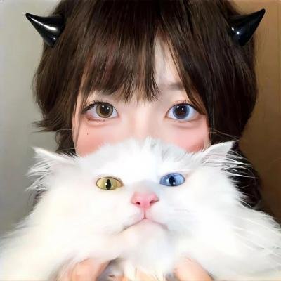 公鸡